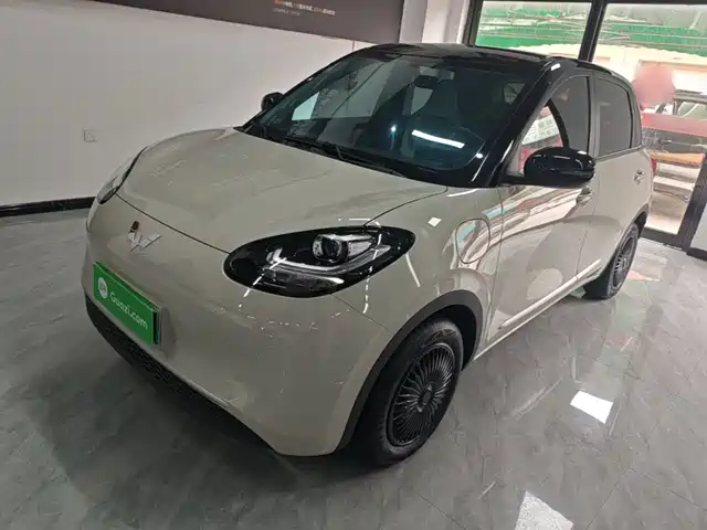 2024 Wuling Motors Binguo