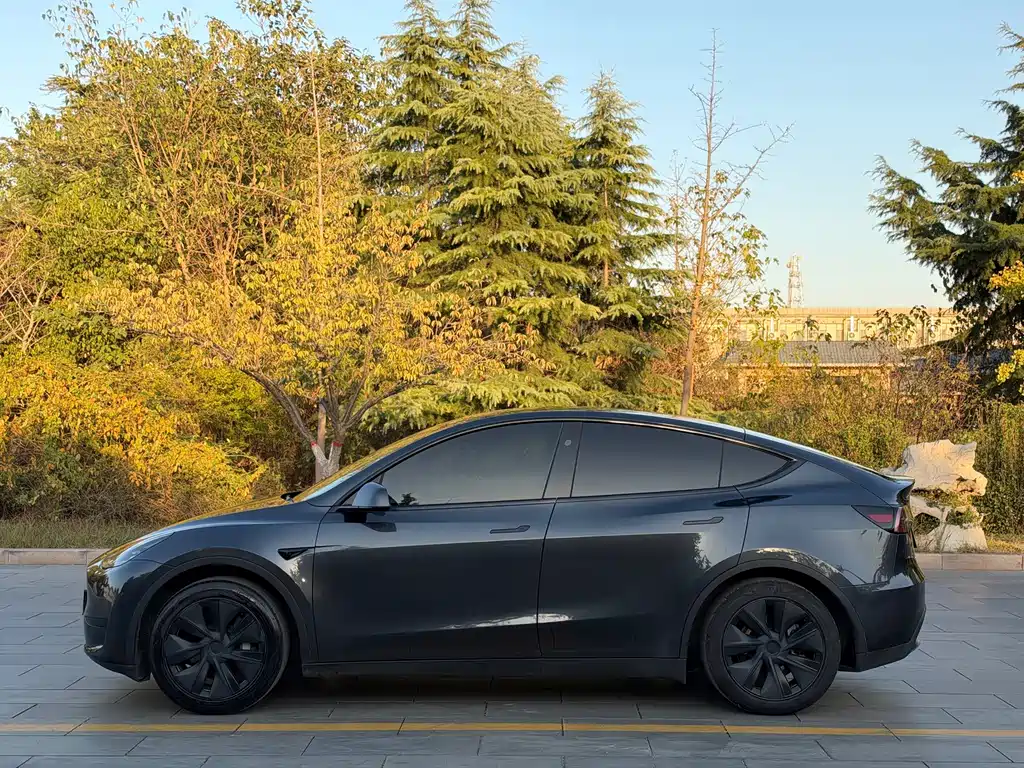 Tesla Model Y — миниатюра 3