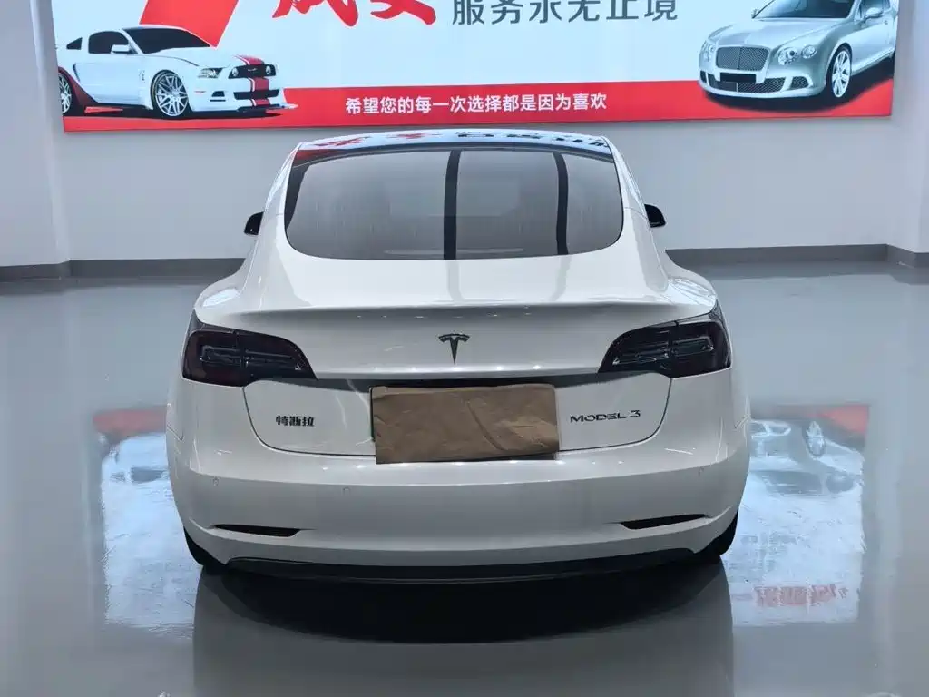 Tesla Model 3 — миниатюра 14