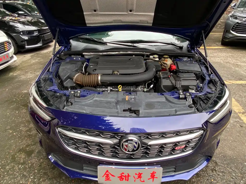 Buick Regal — миниатюра 14