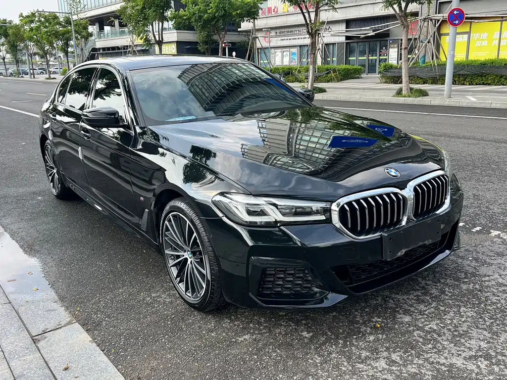 BMW 5 Series — миниатюра 3
