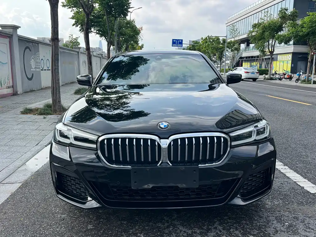 BMW 5 Series — миниатюра 2