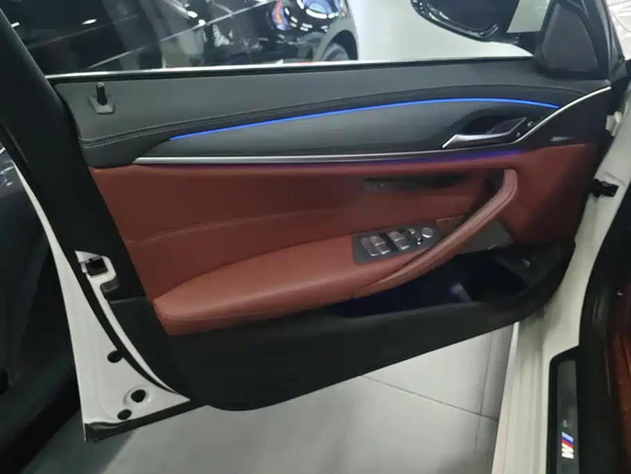 BMW 5 Series 5 2021 530Li Premium M Sport