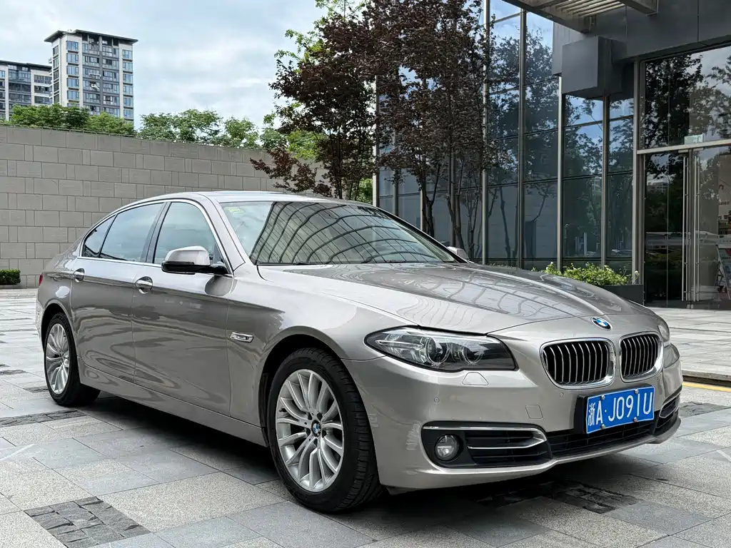 BMW 5 Series 5 2013 525Li Luxury
