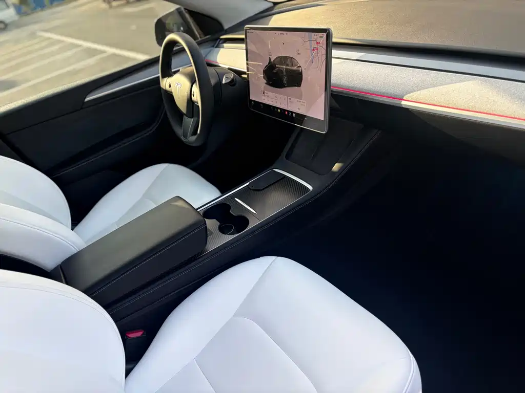 Tesla Model Y — миниатюра 10