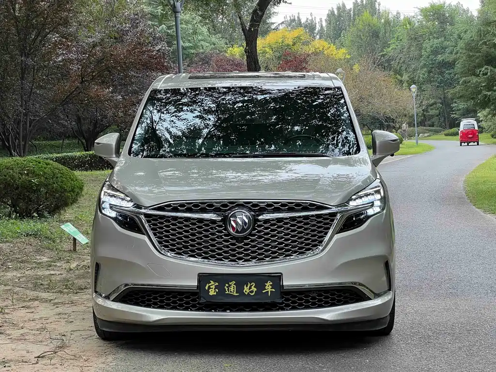 Buick GL8 — миниатюра 2