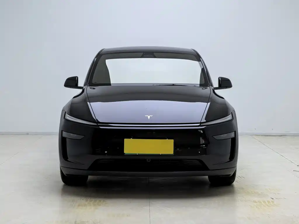 Tesla Model Y — миниатюра 2