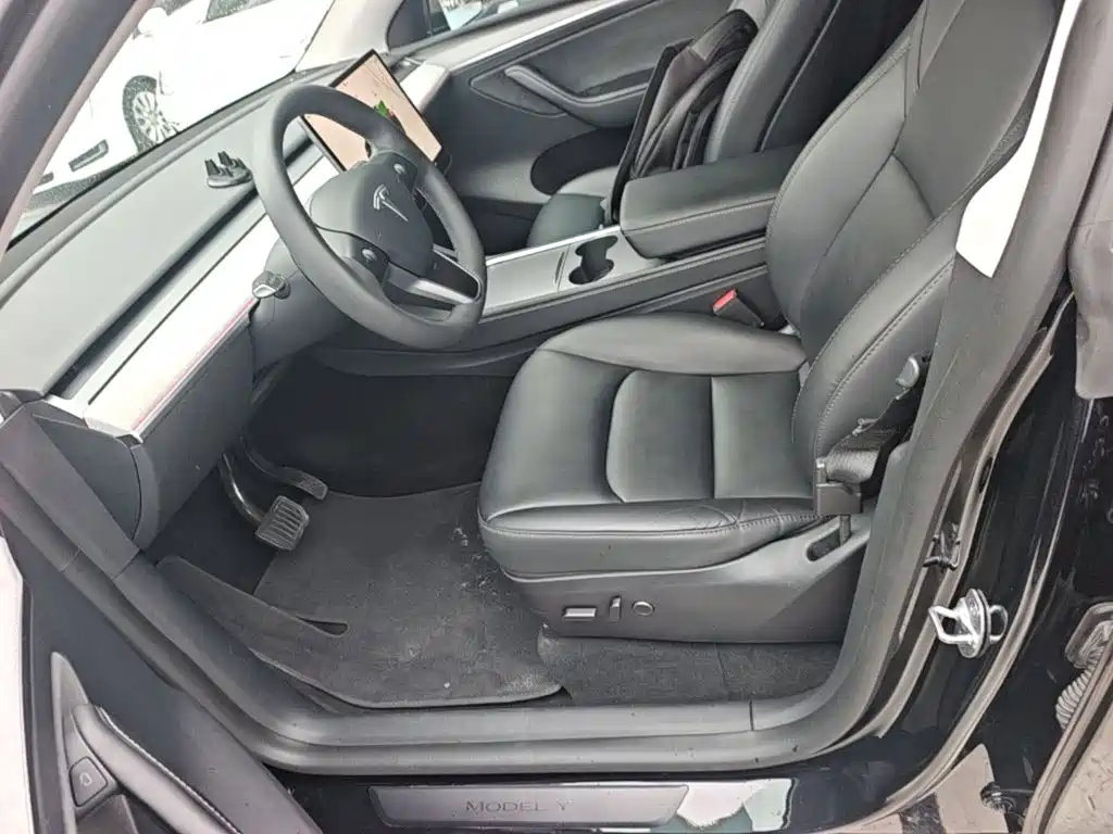 Tesla Model Y — миниатюра 15