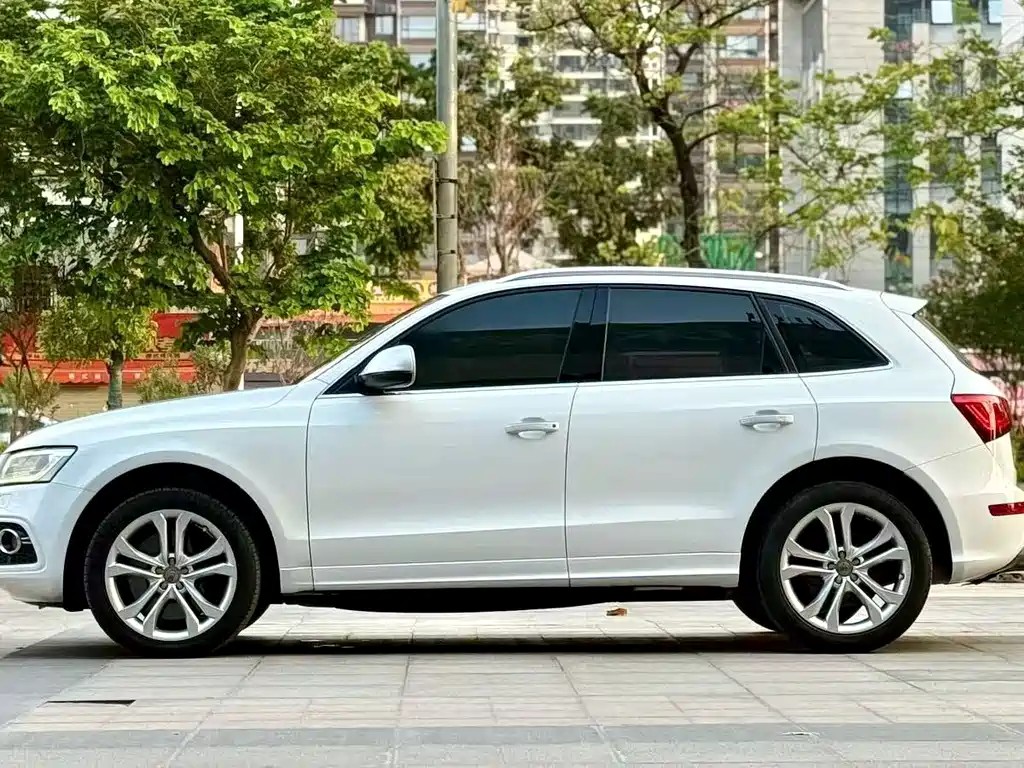 Audi SQ5 — миниатюра 2