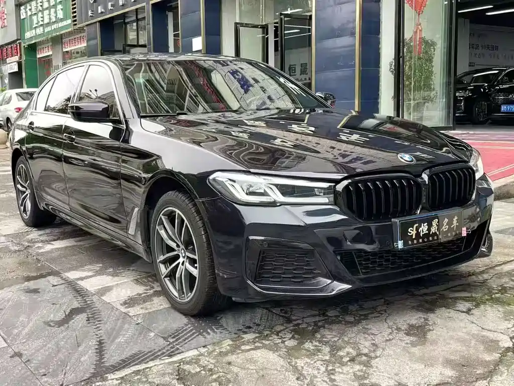 BMW 5 SERIES
