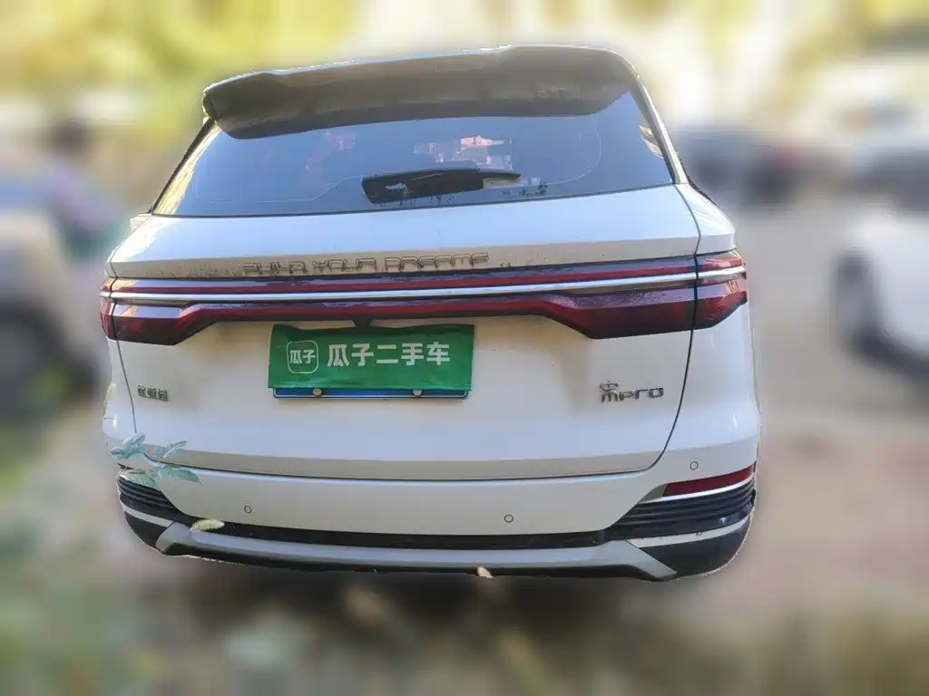 BYD Pro — миниатюра 5