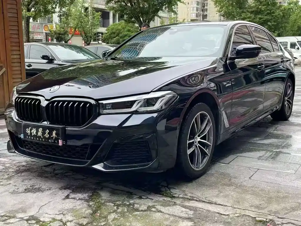 BMW 5 SERIES