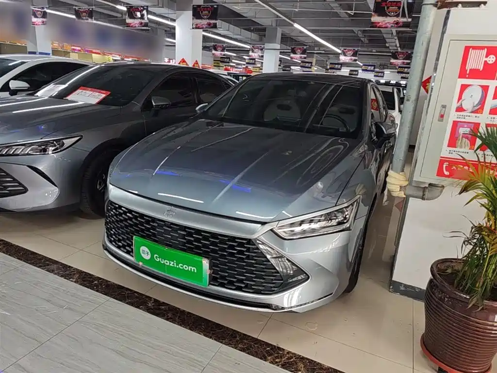 Byd Qin PLUS 2024
