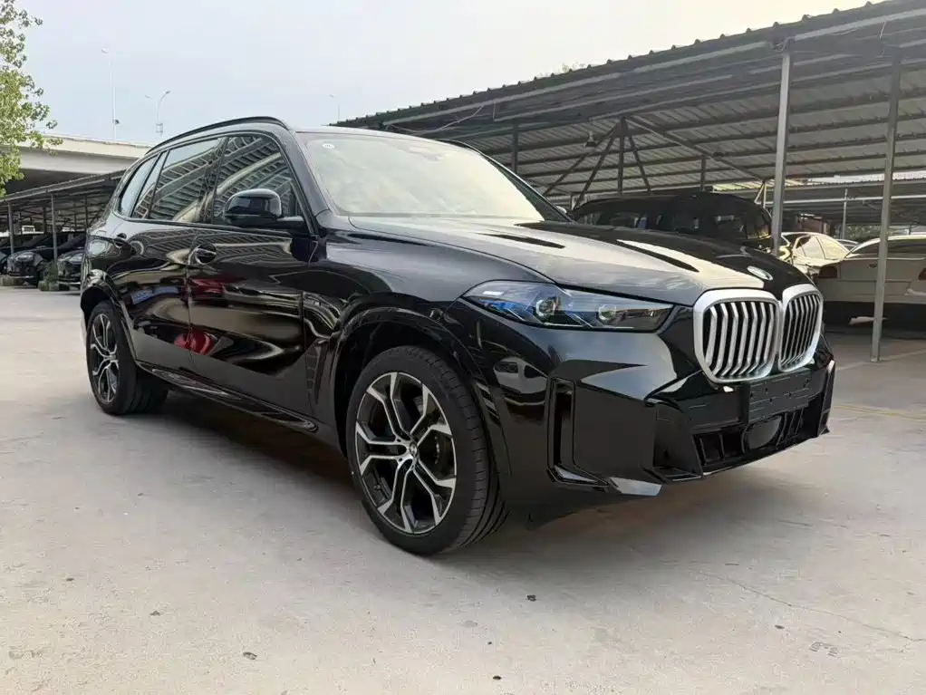 BMW X5 — миниатюра 3