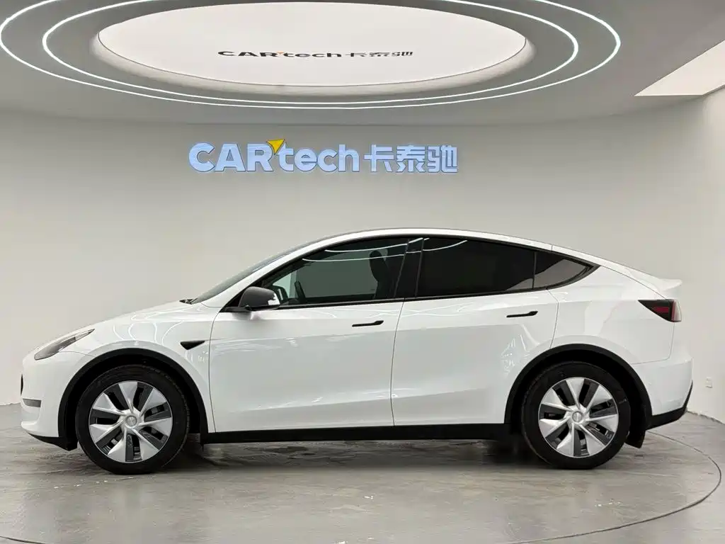 Tesla Model Y — миниатюра 5
