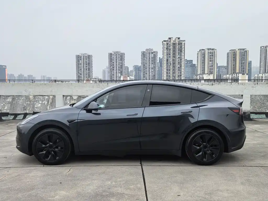 Tesla Model Y — миниатюра 7