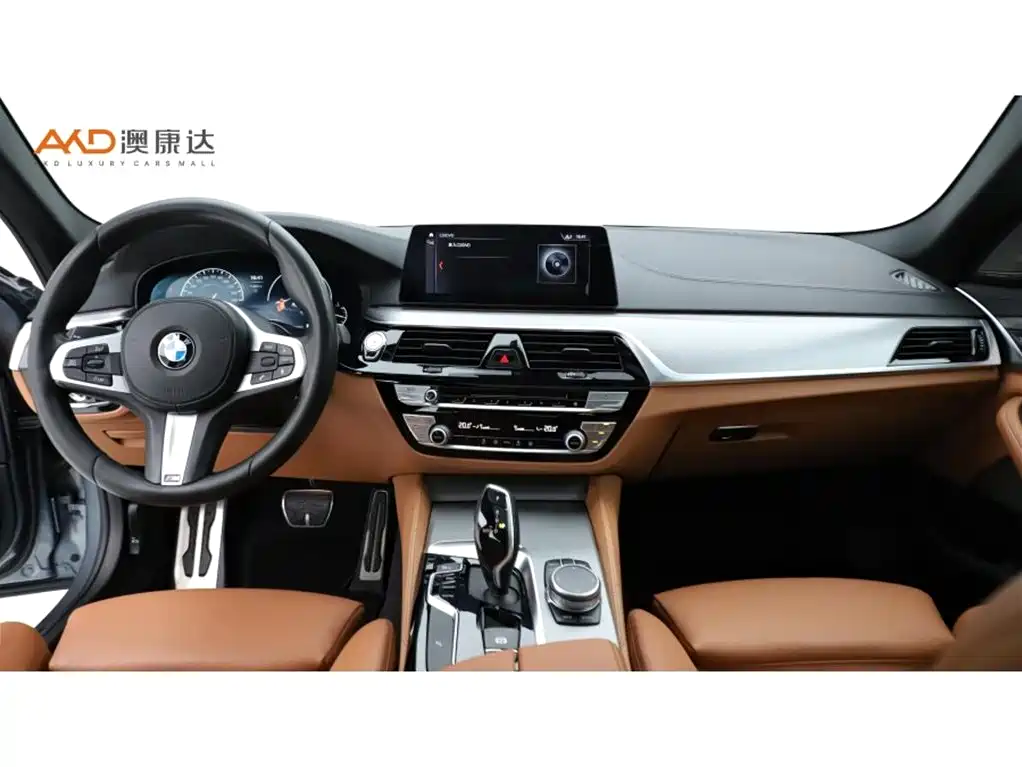 BMW 5 Series 5 2019 525Li M Sport