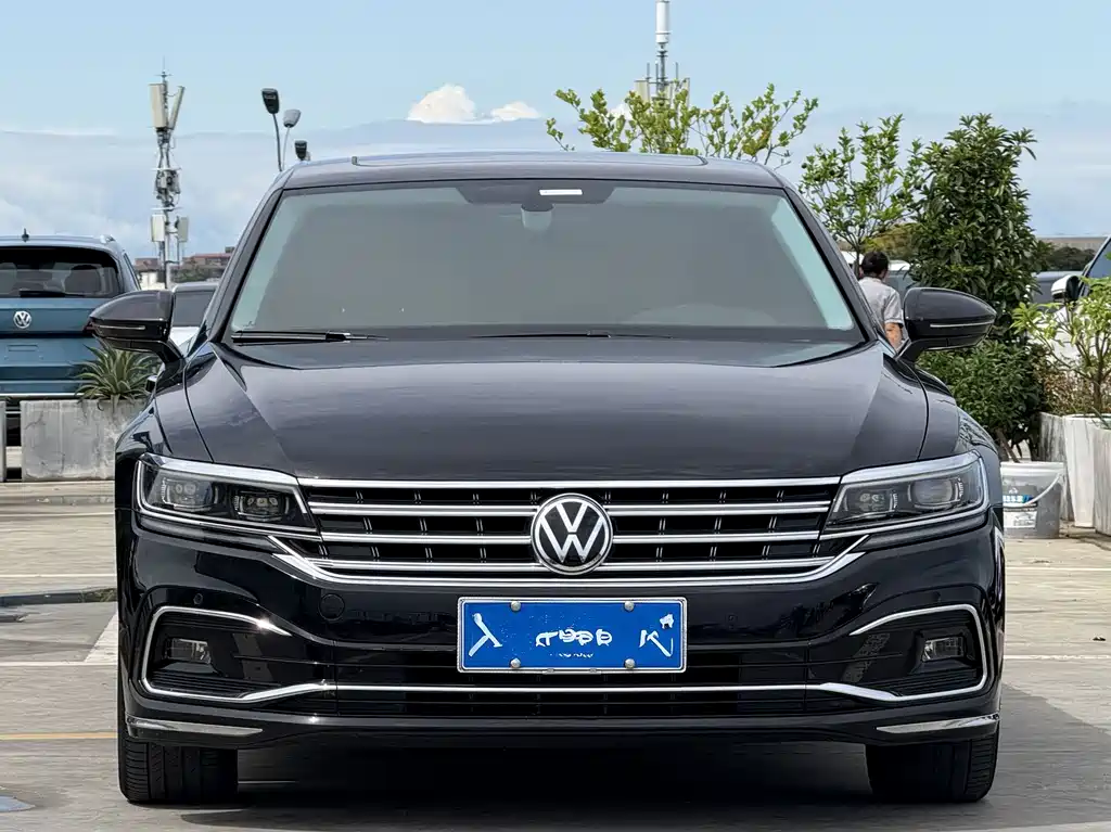 Volkswagen Phideon — миниатюра 2