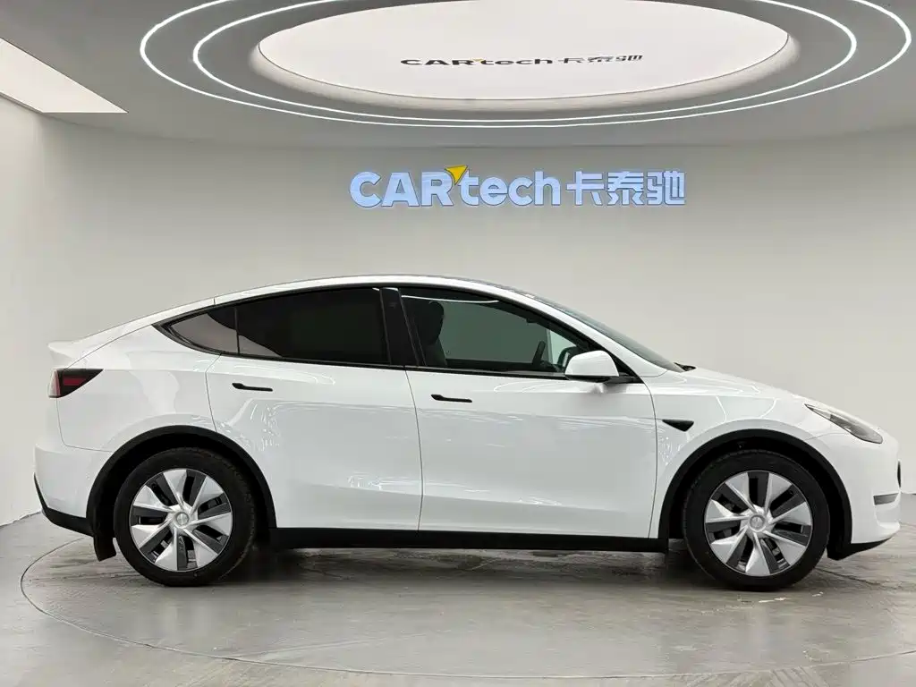 Tesla Model Y — миниатюра 3