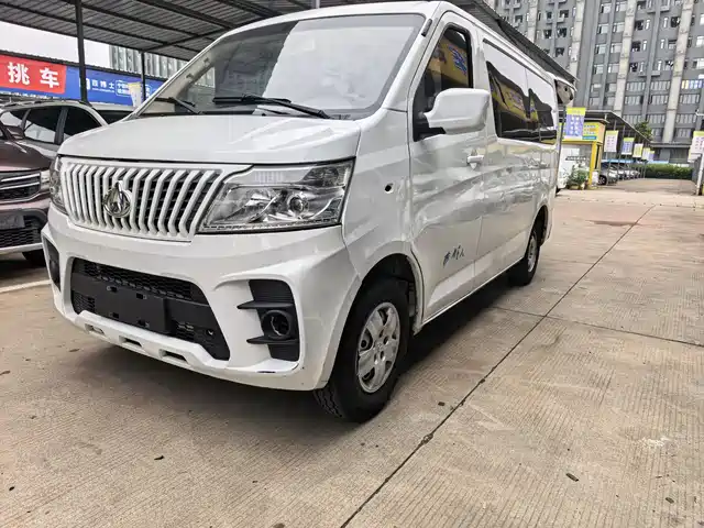 2020 Changan Ruixing