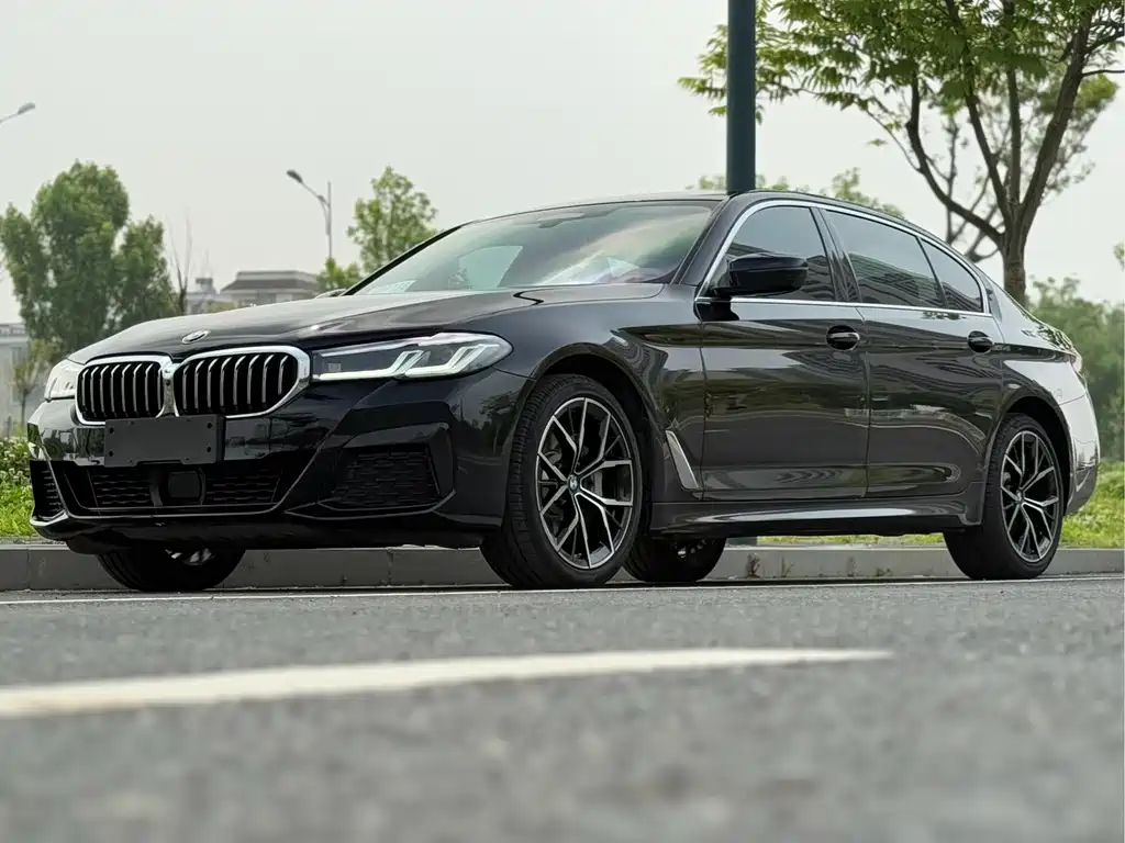 BMW 5 Series 2021