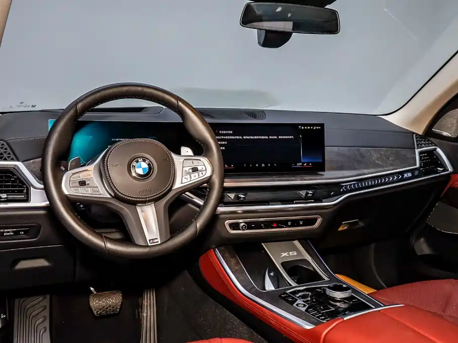 BMW X5 — миниатюра 23