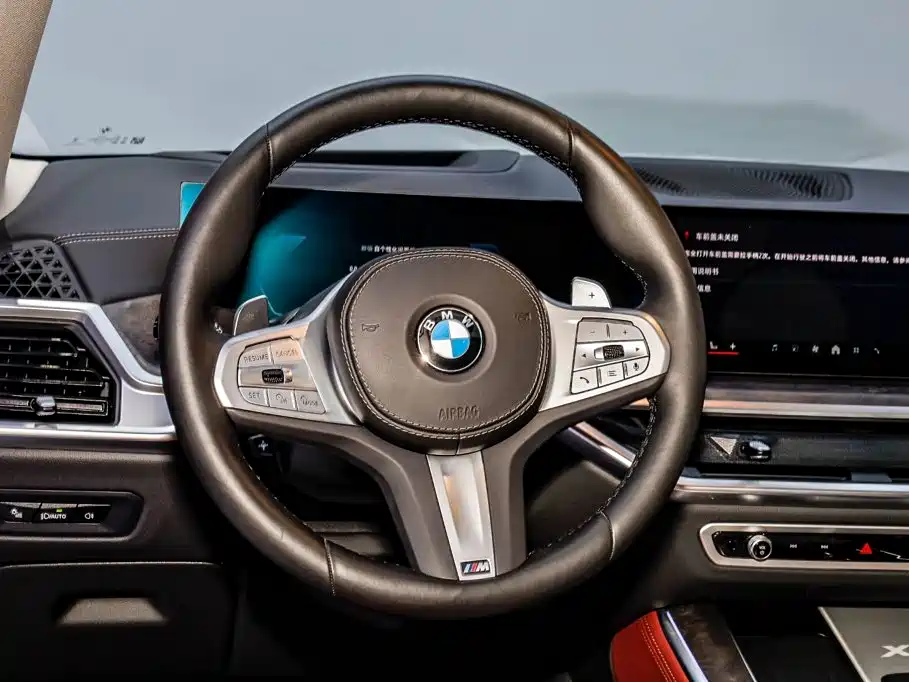 BMW X5 — миниатюра 24