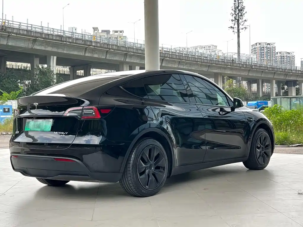 Tesla Model Y — миниатюра 12