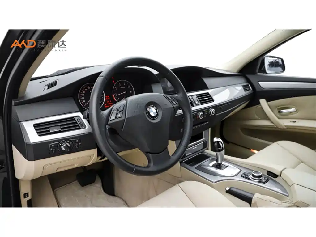 BMW 5 Series 5 2009 520Li Lead