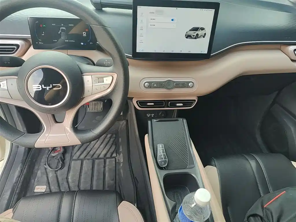 BYD Seagull 2025 Smart Drive 305km