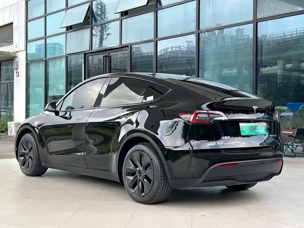 Tesla Model Y — миниатюра 10