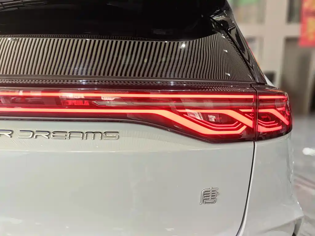 BYD Tang New Energy — миниатюра 26