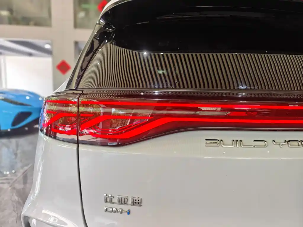BYD Tang New Energy — миниатюра 25