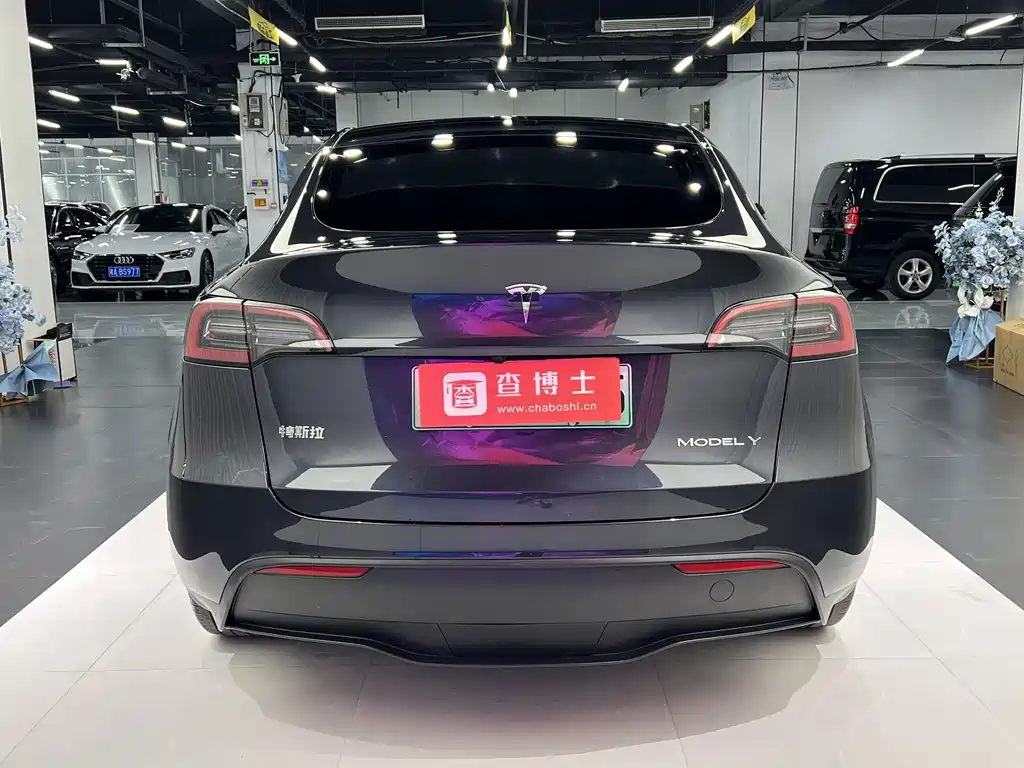 Tesla Model Y — миниатюра 10