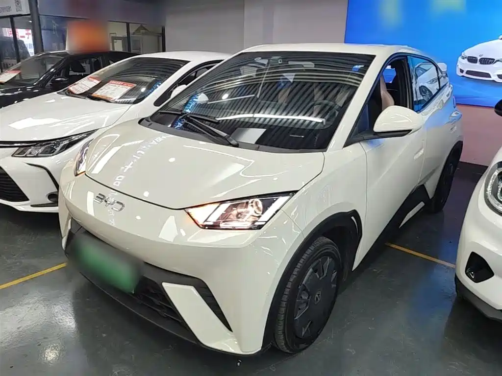 Byd Seagull 2024