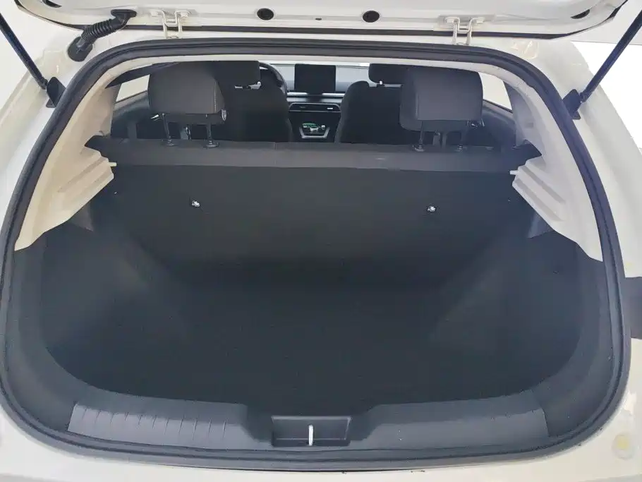 BYD e2 — миниатюра 4