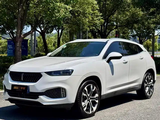 2017 Wey VV7
