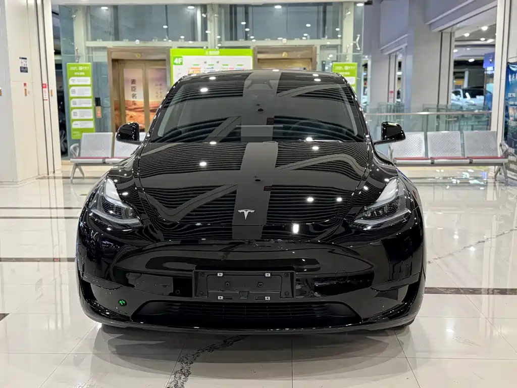 Tesla Model Y — миниатюра 2