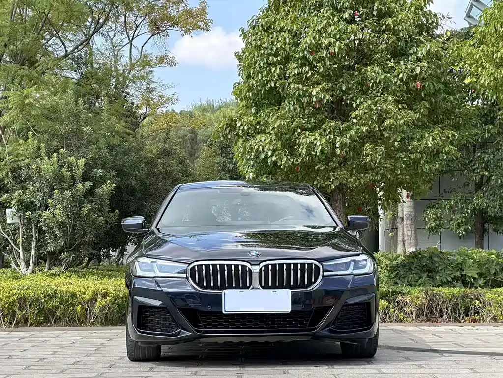 BMW 5 Series — миниатюра 2