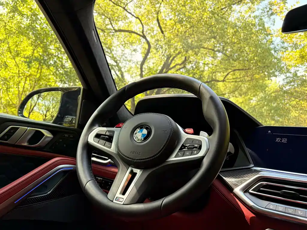 BMW X6 M — миниатюра 5