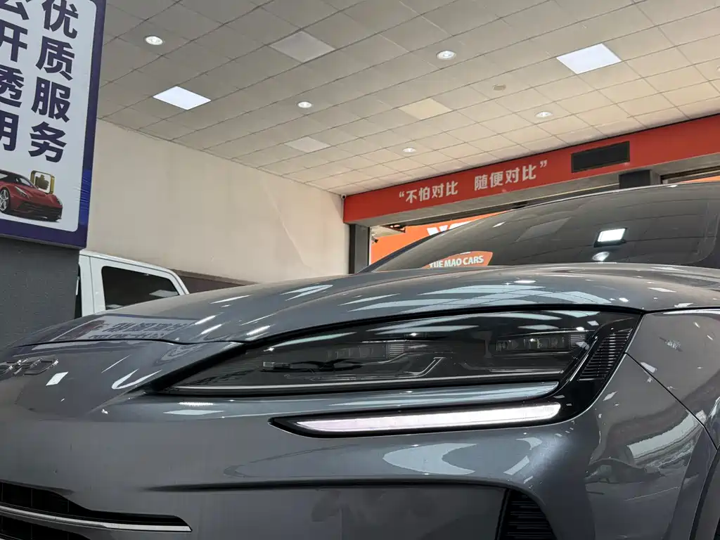 BYD PLUS New Energy — миниатюра 18