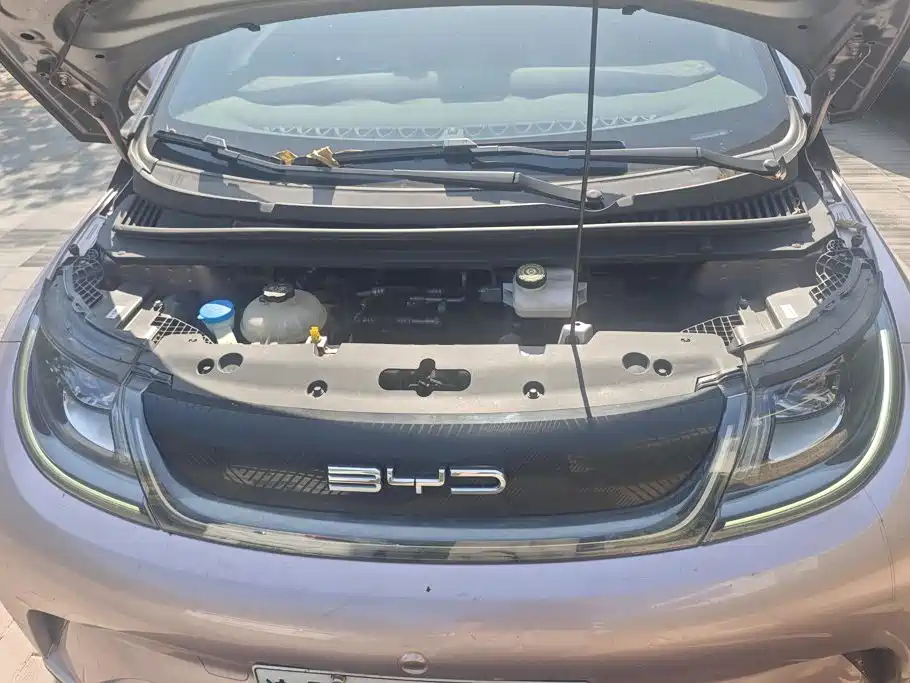 BYD Dolphin — миниатюра 10