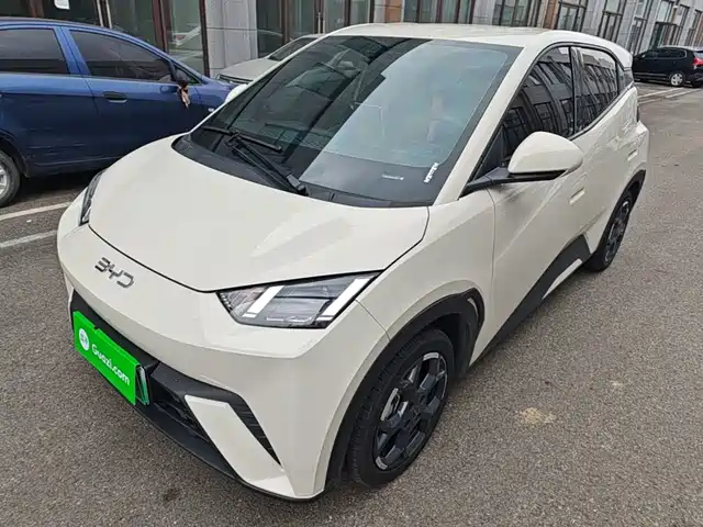 2024 BYD Seagull