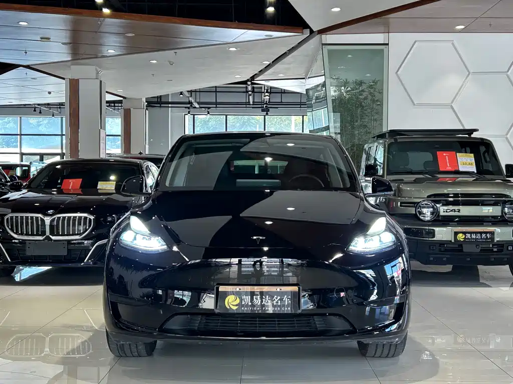 Tesla Model Y — миниатюра 3