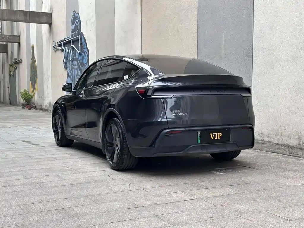 Tesla Model Y — миниатюра 6