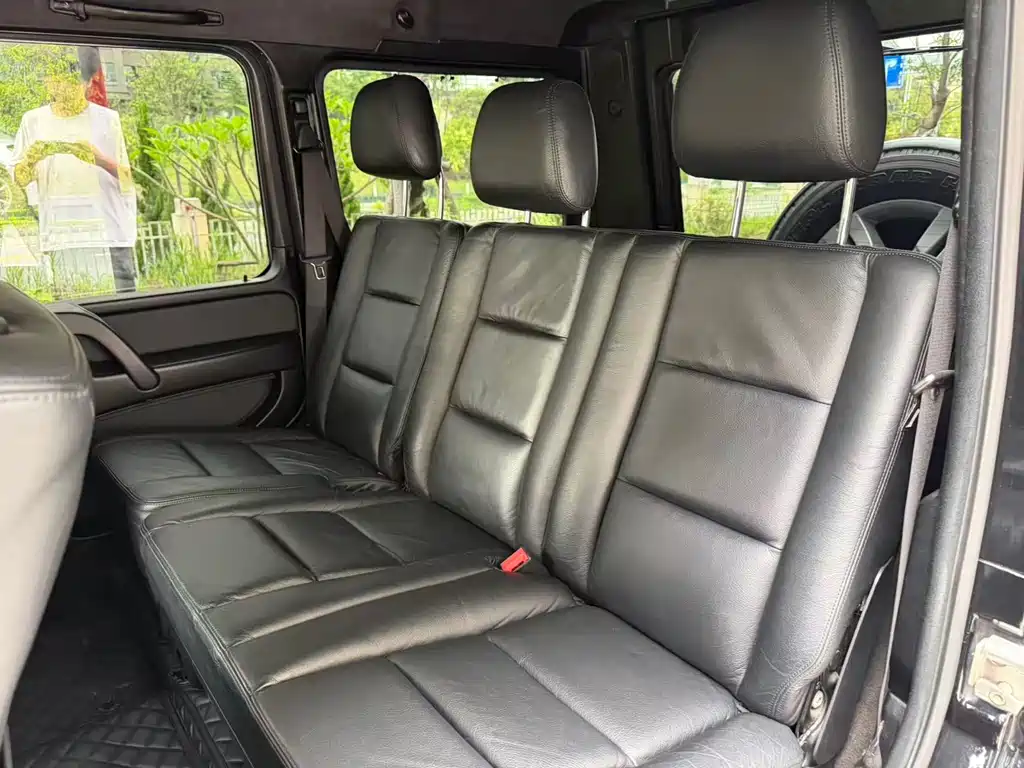 Mercedes-Benz G-Class G 2010 G 500