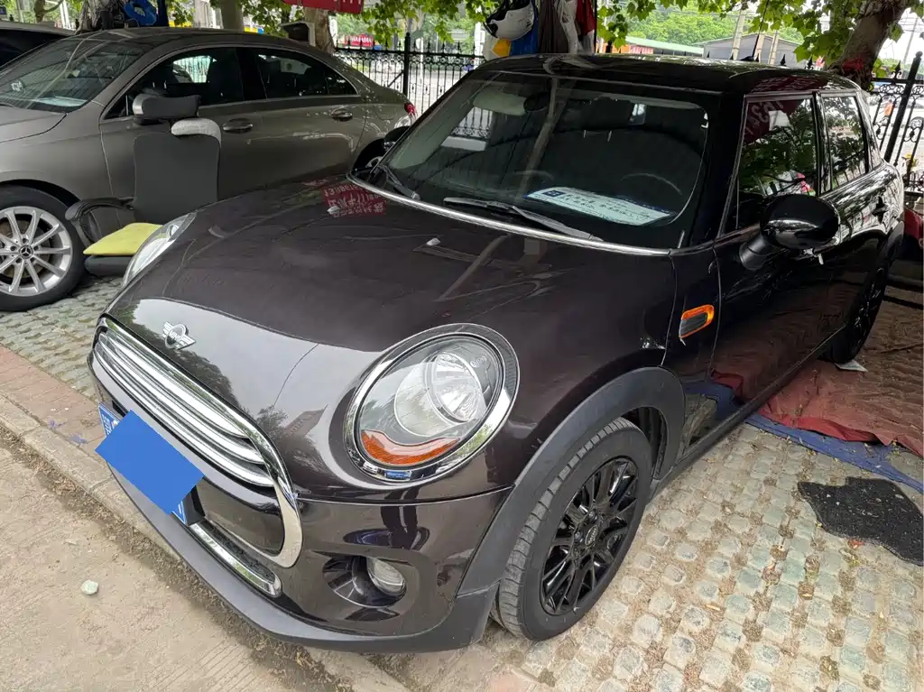 Mini Mini 2016