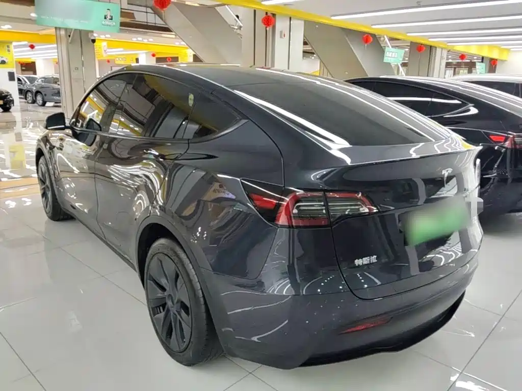 Tesla Model Y — миниатюра 5