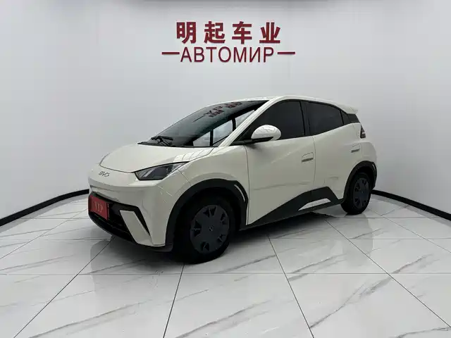 2025 BYD Seagull