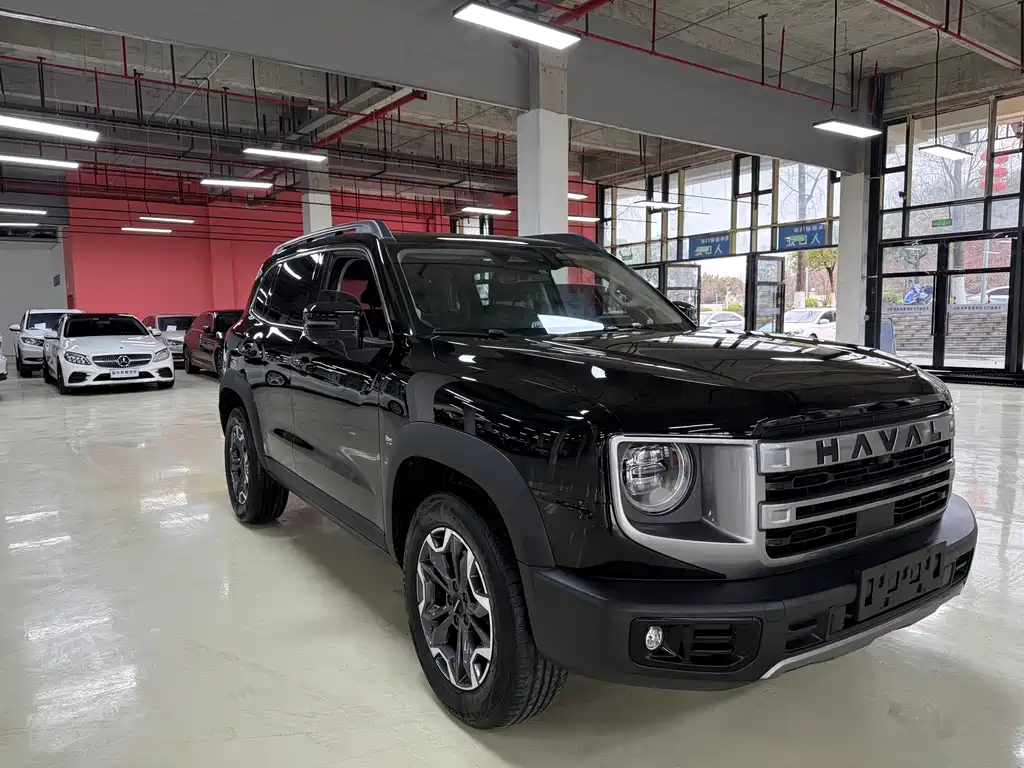 HAVAL BIG DOG